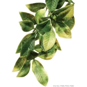 Exo Terra Mandarin Plant, Small
