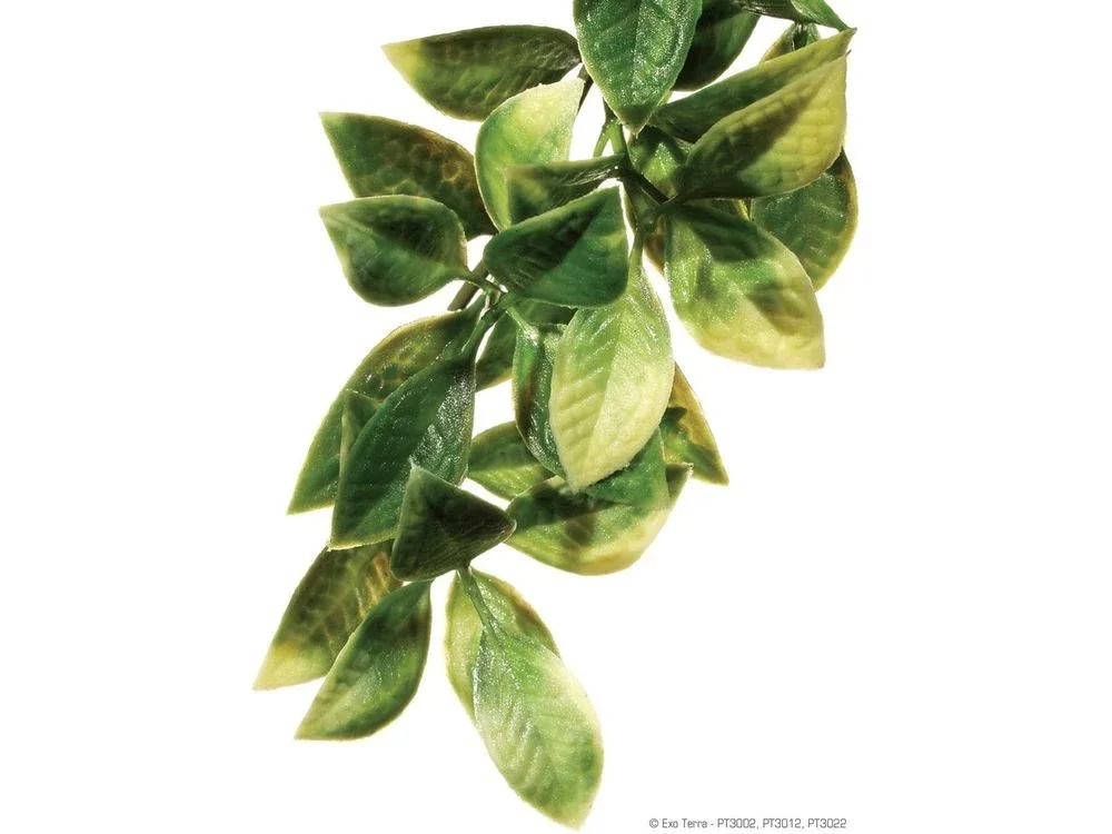 Exo Terra Mandarin Plant, Small