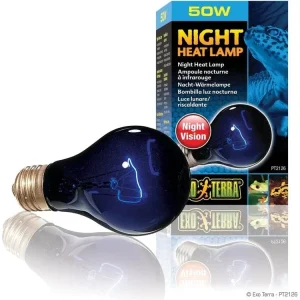 Exo Terra Night Heat Lamp, 50w