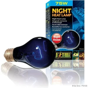 Exo Terra Night Heat Lamp, 75w