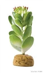 Exo Terra Plant, Jade Cactus Pt2984{L+7}