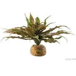Exo Terra Plant, Star Cactus Pt2982{L+7}
