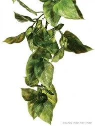 Exo Terra Plastic Plant Medium Amapallo Pt3011{L+7}