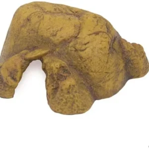 Exo Terra Reptile Cave, Medium