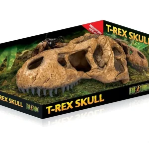 Exo Terra T-Rex Skull
