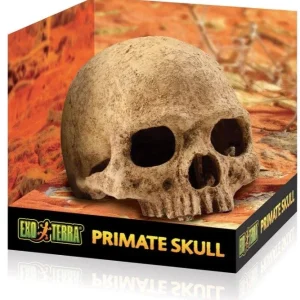 Exo Terra Terrarium Primate Skull Decoration