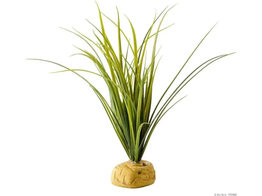 Exo Terra Turtle Grass
