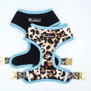 "Exotic" Reversible Harness