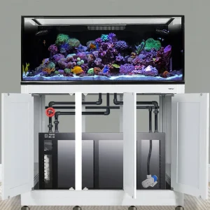 EXT 170 Gallon Complete Reef System –White (Made To Order) - Innovative Marine