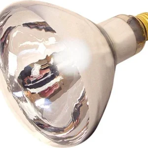 Farm Innovators Heat Lamp Bulb