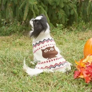 Fashion Pet Owl Sweater - Cream Dog Knit Sweater, Medium