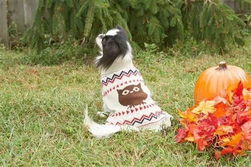 Fashion Pet Owl Sweater - Cream Dog Knit Sweater, Medium