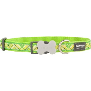 Fianno Lime Green Collar 12mm (1/2" Wide - 8-12.5" Length)