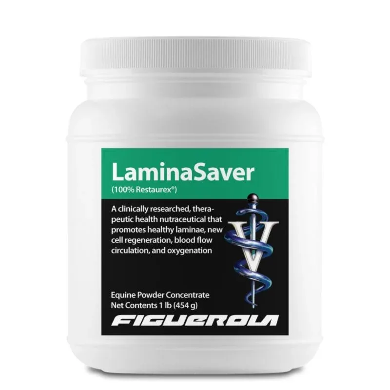 Figuerola LaminaSaver - Image 2