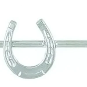 Finishing Touch Horseshoe Stock Pin 3In Slv Finish