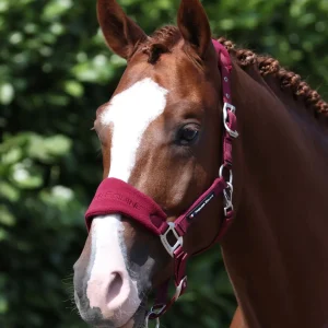 Fleece Padded Head Collar with Lead Rope Burgundy