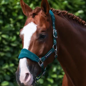 Fleece Padded Head Collar with Lead Rope Green
