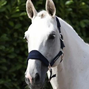 Fleece Padded Head Collar with Lead Rope Navy