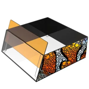 Flipper Top Down Viewer Limited Edition Clownfish