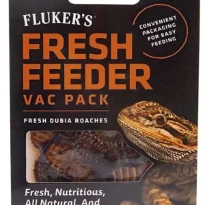 Flukers Dubia Roach Fresh Feeder Vac Pack