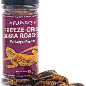 Flukers Freeze Dried Dubia Roaches for Reptiles