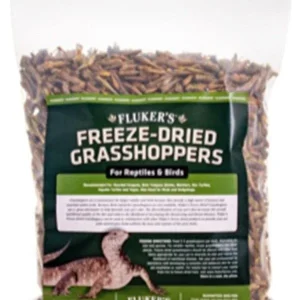Flukers Freeze-Dried Grasshoppers