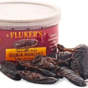 Flukers Gourmet Canned Dubia Roaches for Reptiles