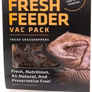 Flukers Grasshopper Fresh Feeder Vac Pack