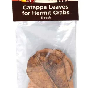 Fluker's Hermit Crab Catappa Leaves Brown 5 Pack