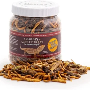 Flukers Medley Treat for Bearded Dragons