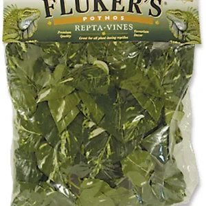 Fluker's Pothos Repta-Vines Green 6 ft