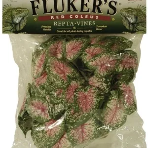 Flukers Red Coleus Repta-Vines