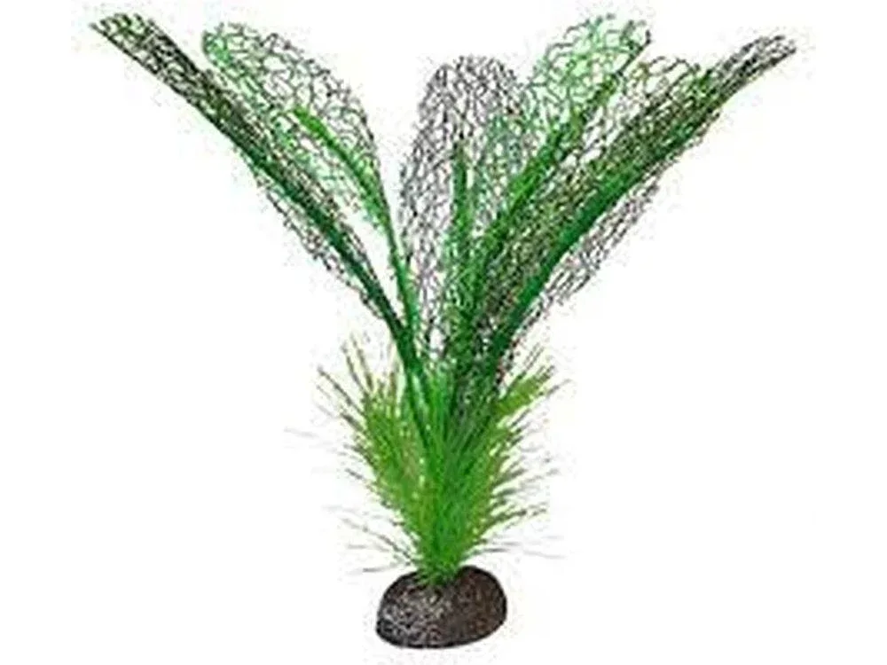 Fluval Betta Premium Plants, Madagascar Lace Plant