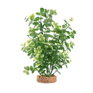 Fluval Green Bacopa 8"