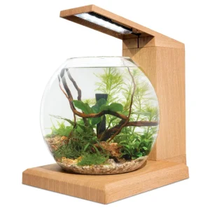 Fluval Liv Aquarium Kit, 1.6 US Gal / 6 L, Teak