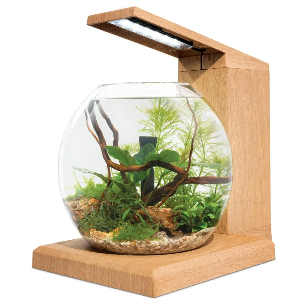Fluval Liv Aquarium Kit, 1.6 US Gal / 6 L, Teak