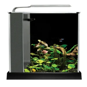 Fluval Spec Aquarium Kit
