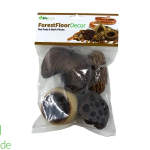 FOREST FLOOR NUT POD DECOR PACK