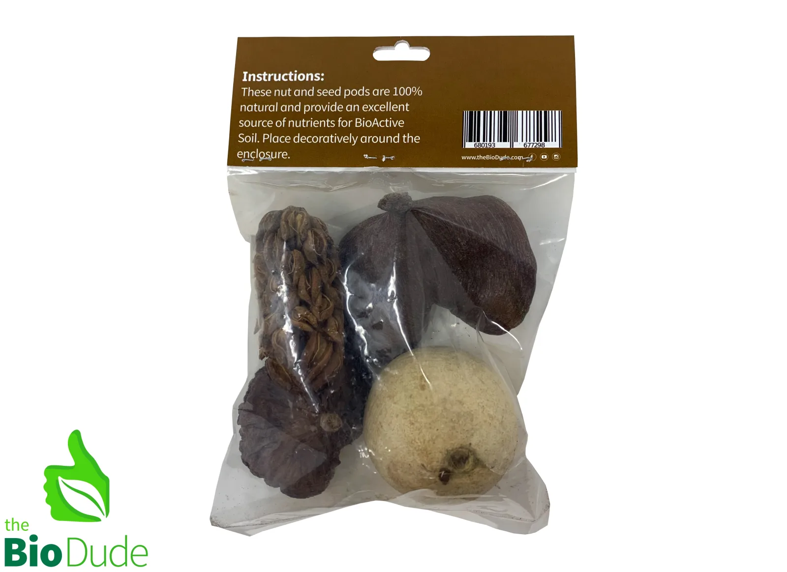 FOREST FLOOR NUT POD DECOR PACK - Image 2