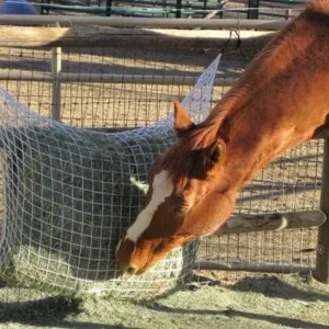 Freedom Feeder Extended Day Slow Feed Hay Net