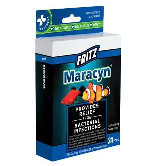 Fritz Maracyn - Image 2
