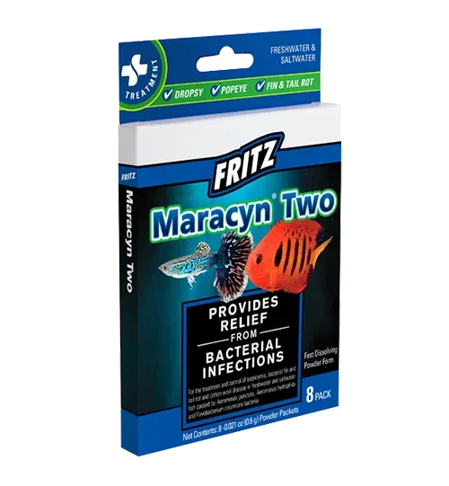 Fritz Mardel Maracyn Two