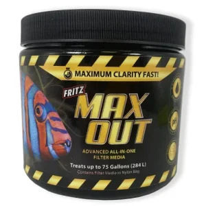 Fritz MAXOUT