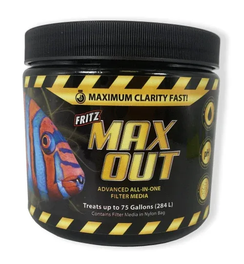Fritz MAXOUT