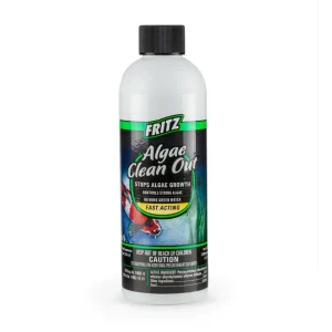 FritzPond Algae Clean Out