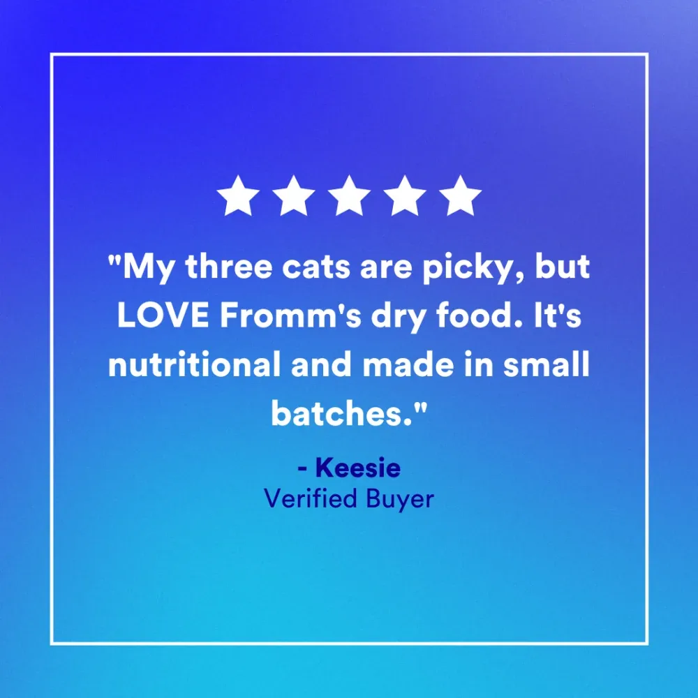 Fromm Four Star Grain Free Game Bird Recipe Dry Cat Food - Image 2