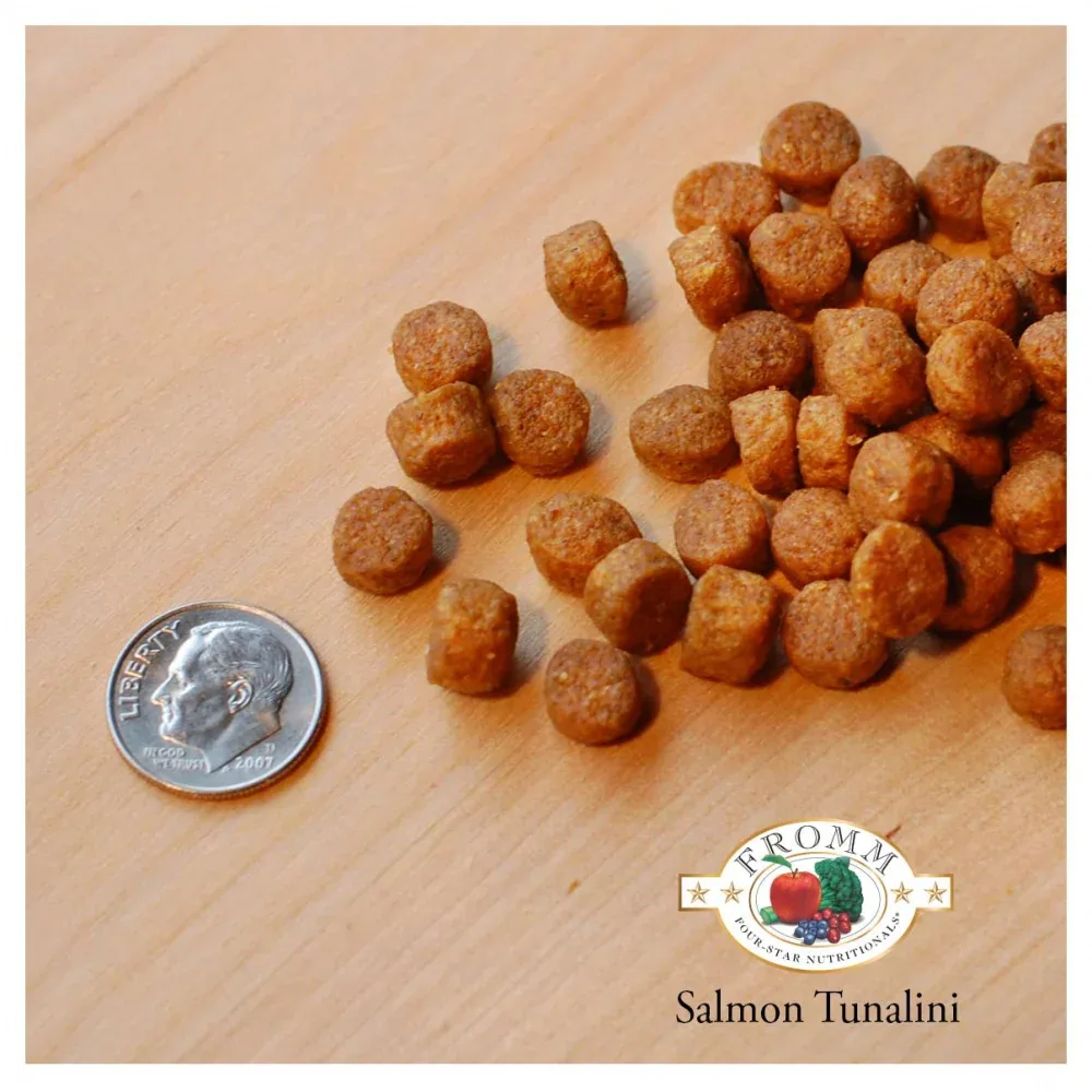 Fromm Four Star Grain Free Salmon Tunalini Dry Dog Food - Image 2