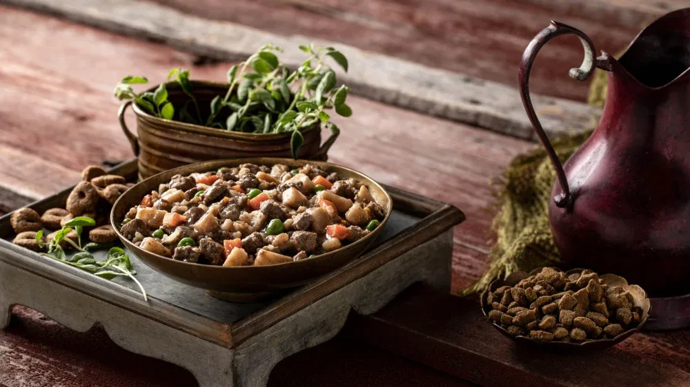 Fromm Frommbalaya Beef, Vegetable, & Rice Stew Canned Dog Food - Image 2