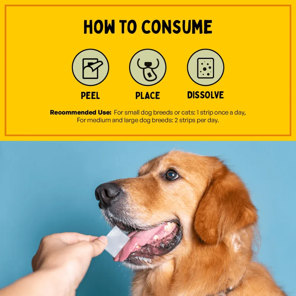 Furlicks Skin & Coat Supplement for Cats and Dogs - Image 2