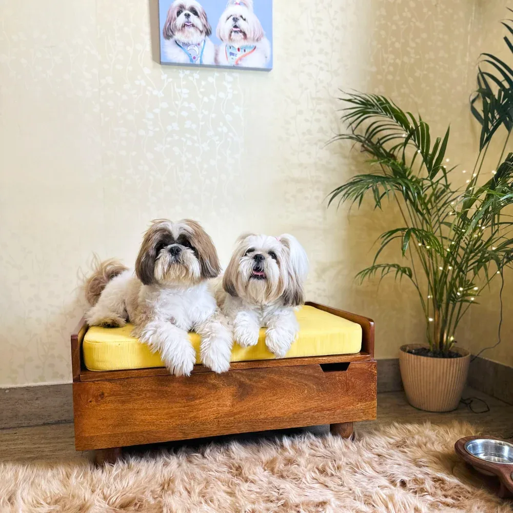 FurryLiving Hibachi Honey Bed with Storage for Dogs (Honey/Brown Cushion) - Image 2